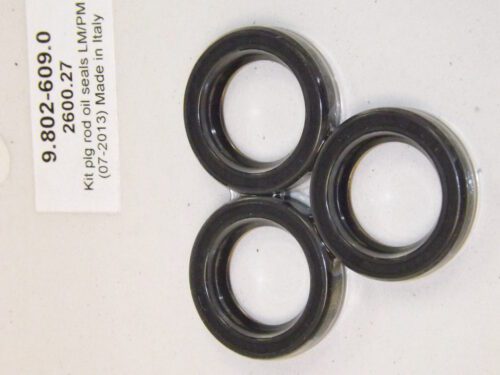 Oil Seal Kit